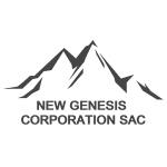 logo new genesiscorporations